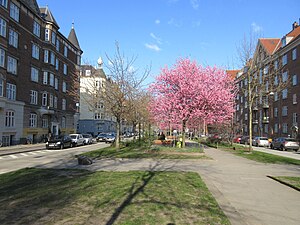 Sønder Boulevard