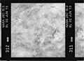 Kodak B&W infrared film with 800-900 nm bandpass filter