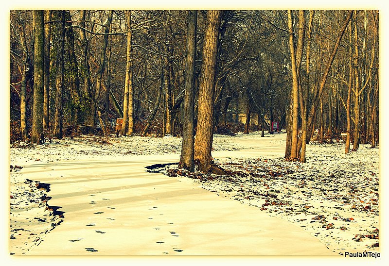 File:SPRINGFILD GREENWAY - panoramio.jpg