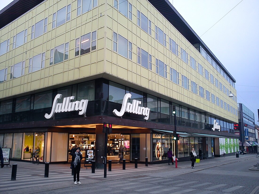 Salling (department store)