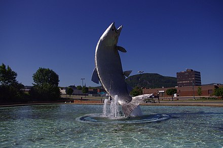 Salmon Sculpture in Downtown Campbellton, City Center building and Sugarloaf Mountain in the background