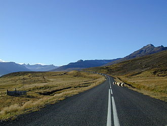 Sheep on the driveway to the tunnel at Oddsskarð, on the Eskifjörður side