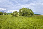 Liste Der Naturschutzgebiete Im Landkreis Schweinfurt: Wikimedia-Liste