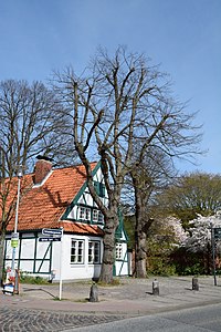 Schleswig-Holstein, Wedel, Naturdenkmal 07-02 NIK 2153.JPG