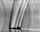 Mit Schlierenfotografie im Windkanal dargestellte Schockwellen an einer T-38. KW 44 (ab 30. Oktober 2016)