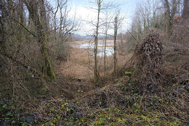 File:Sentier des Îles de la Barque (51032316402).jpg