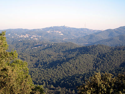 Panorama viewed from the Puig Madrona mountain (Serra de Collserola, 2007)