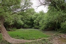 رودخانه شاوور - ویکی‌پدیا، دانشنامهٔ آزاد
