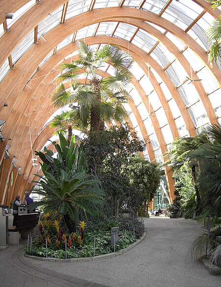 Sheffield Winter Garden.jpg