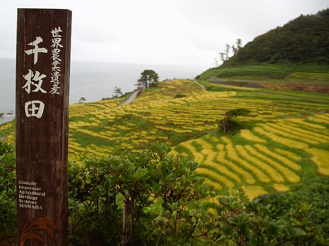Shirayone Senmaida, designated as a World Agricultural Heritage site in Wajima