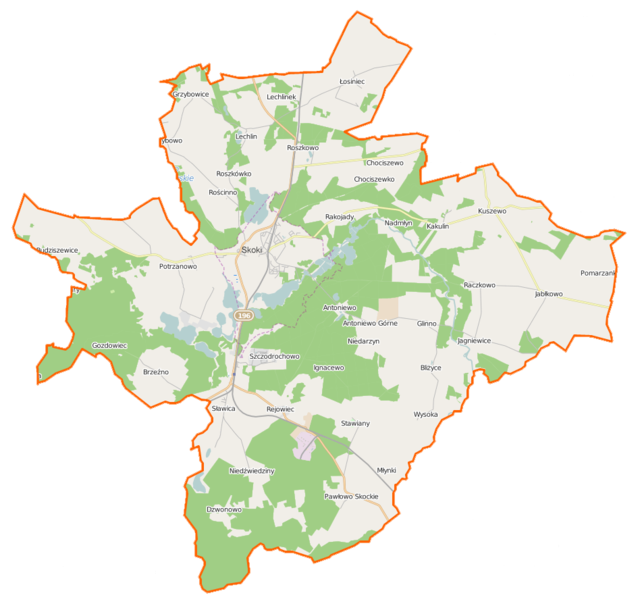 Mapa konturowa gminy Skoki, w centrum znajduje się punkt z opisem „Skoki”