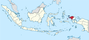 Юго-Западное Папуа на карте