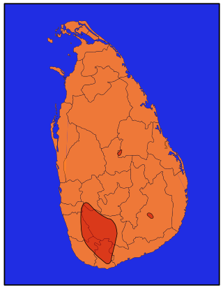 <span class="mw-page-title-main">Gems of Sri Lanka</span>