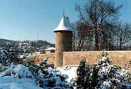 11.11.14 Stadtmauer Wernigerode