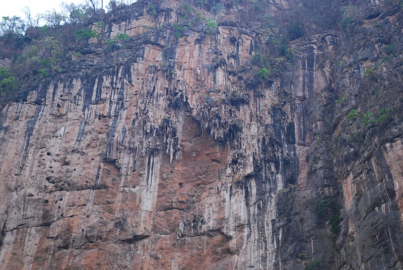 File:StalctitesSumidero2.jpg