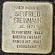 Stolperstein Siegfried Steinmann Wuppertal.jpg