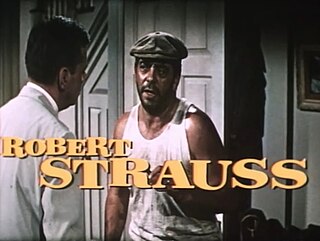 <span class="mw-page-title-main">Robert Strauss (actor)</span> American actor (1913–75)