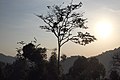 Sunset over Khao Sok jungle, Surat Thani, Thailand.jpg