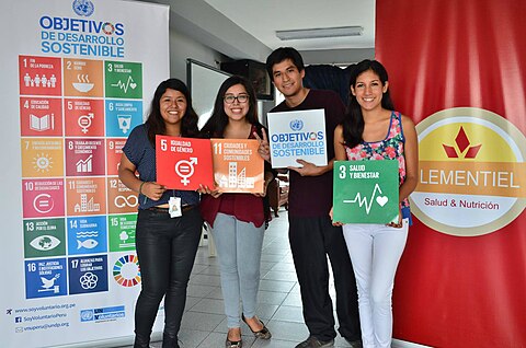 Young people holding SDG banners in Lima, Peru
