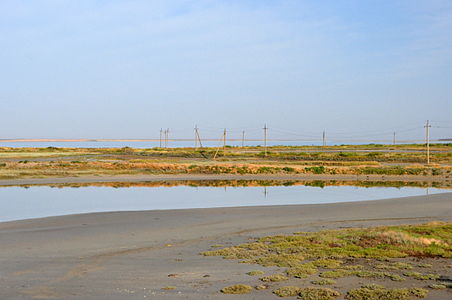 Прибрежно-водный комплекс залива Сиваш