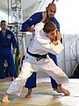 el judo (o judo/judô)
