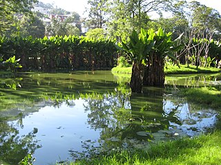 <span class="mw-page-title-main">Botanical and Zoological Garden of Tsimbazaza</span> Botanical garden and zoo in Madagascar