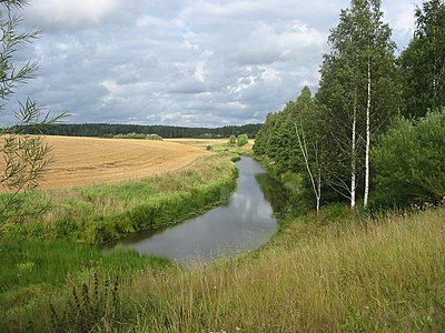 Река вожа. Исток реки Вожа. Лосья вож.