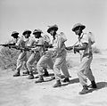 The Caribbean Regiment during the Second World War E31194.jpg