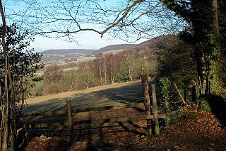 Bull Cross, The Frith and Juniper Hill