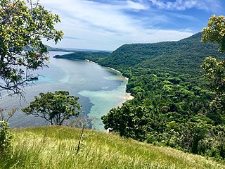 <span class="mw-page-title-main">Kokotuku Peninsula</span>