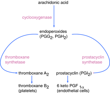 Enzymes and substrates associated with thromoboxane and prostacyclin synthesis. Thromboxane synthesis.png