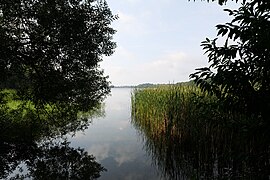 Tiefwarensee 2021-09-07 01.jpg