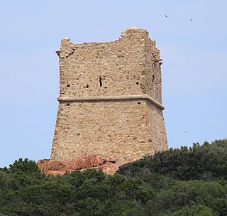 <span class="mw-page-title-main">Torra di Pinareddu</span> Genoese coastal defence tower in Corsica