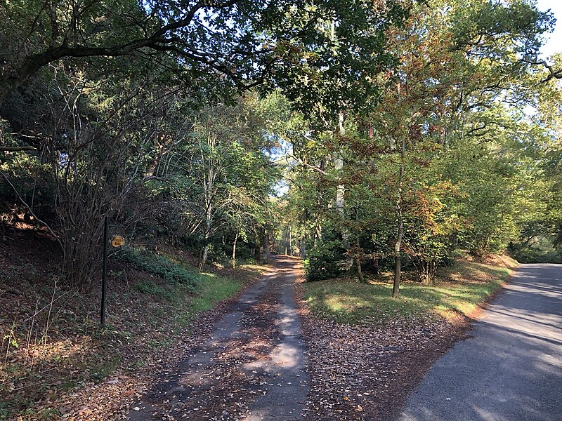 File:Track to Sutton End House - geograph.org.uk - 5949408.jpg