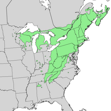 Mapa de rango de Tsuga canadensis 4.png