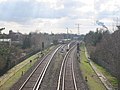 train from Biesdorf #2