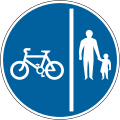 Shared path