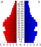 Bevolkingspiramide Winnebago County