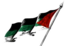 United Arab Flag-transparent.png