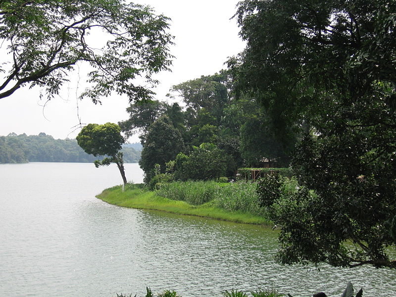 File:Upper Seletar Reservoir 5, Oct 05.JPG