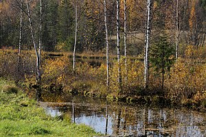 Vakari: Küla Rõuge vallas Võrumaal