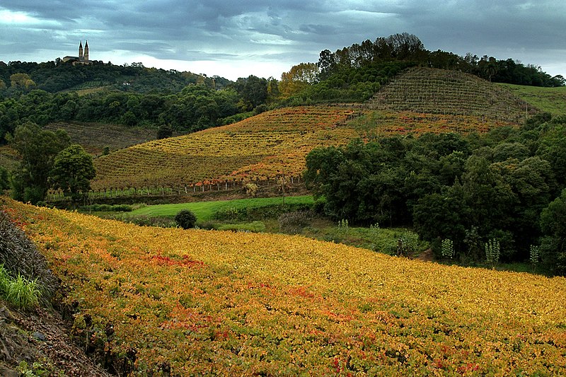 Rota da Uva e Vinho Vale dos Vinhedos