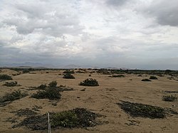 Desert landscape in the district