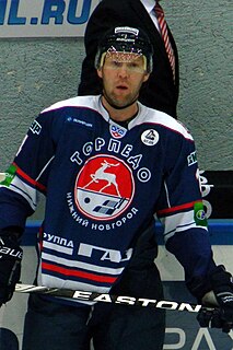 <span class="mw-page-title-main">Vladimir Malenkikh</span> Russian ice hockey player