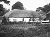 Boerderij, dwarshuis, vensters met oude roeden, halve luiken, laag gebouw met riet gedekt