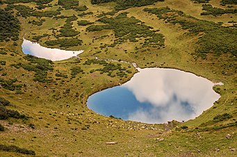 10th place - Serhiy Krynytsia (Haidamac), Lake Vorozheske (hydrological natural monument), Svydovets mountain range of the Ukrainian Carpathians