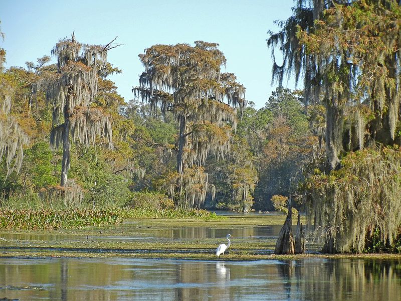 File:Wakulla Springs.jpg