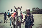 Vignette pour Cheval au Ghana