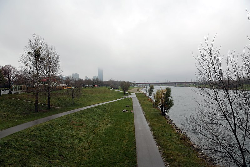 File:Wien Donau 2014-12-03 004 Neue Donau Brigittenauer Brücke DC Tower 1.jpg