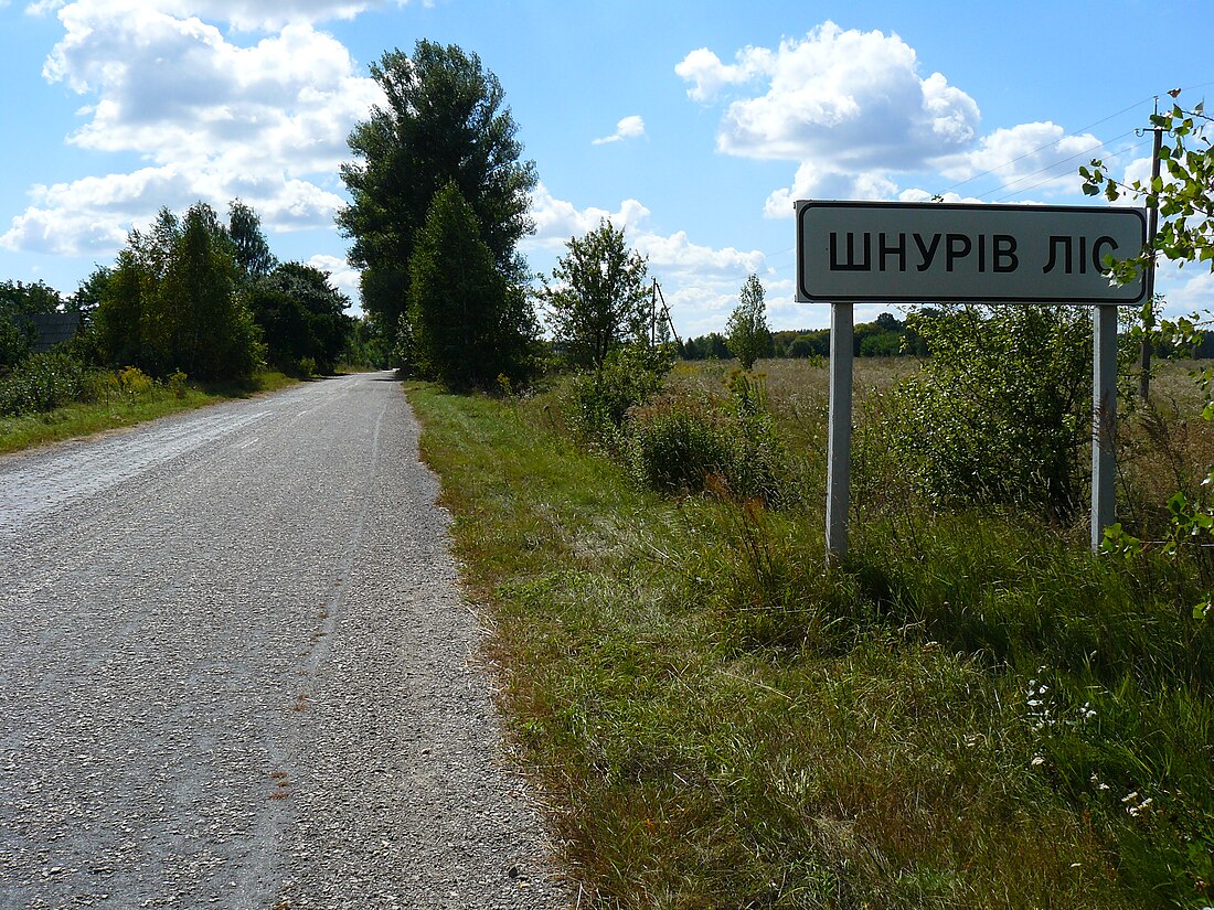 Шнурів Ліс